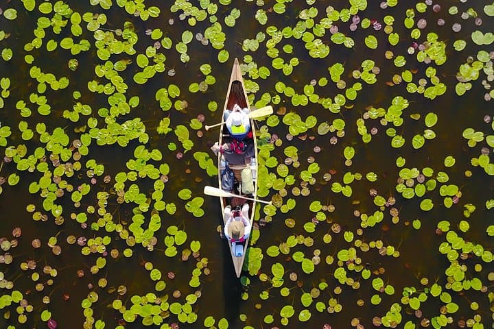BIRDWATCH - Premium guided canoe tour at Cape Vente, Nemunas Delta Regional Park 5