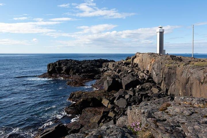 Private Day Tour from Höfn - The Eastfjords 4