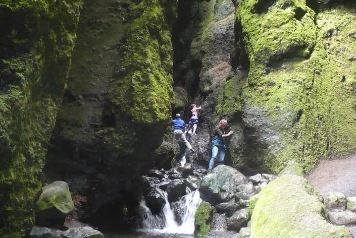 Private Day Tour from Höfn - The Eastfjords 5