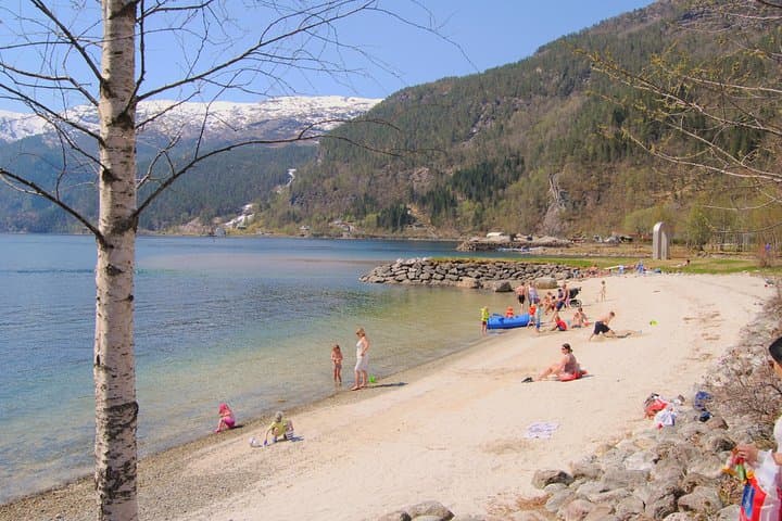 PRIVATE GUIDED TOUR: Secrets of the Fjords - the Osterfjord and Mo, 6-7 hours 4