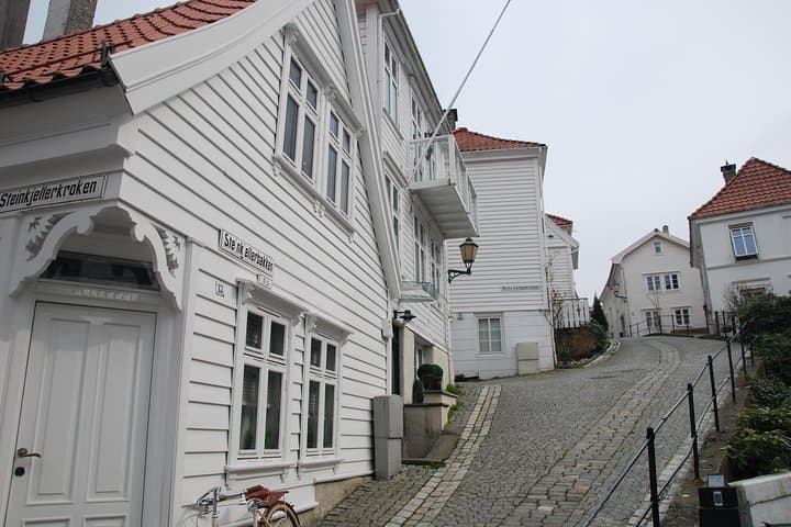 PRIVATE TOUR: Bergen city sightseeing, 5 hours 4