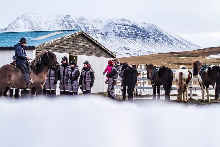 The Viking Horse Riding Experience in North Iceland 4