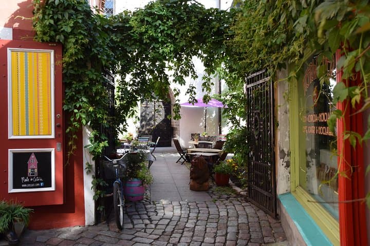 Tallinn Old Town Tour combined with Bog Walk 5