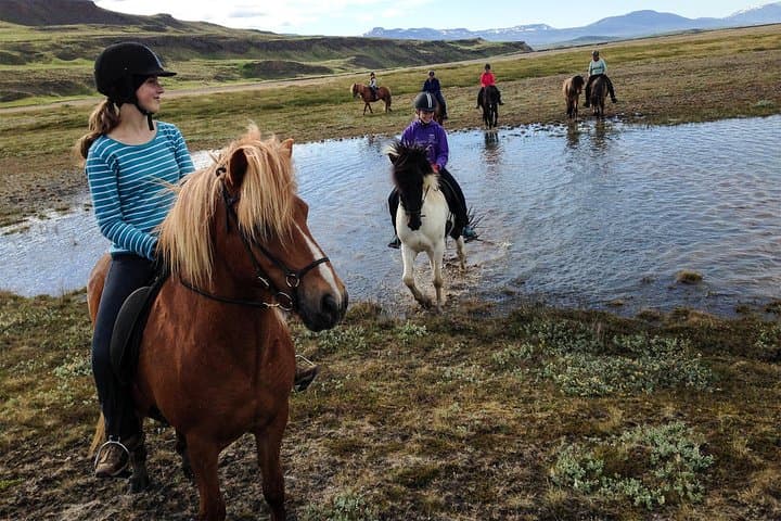 Private 3-Hour Horseback Riding Tour 2