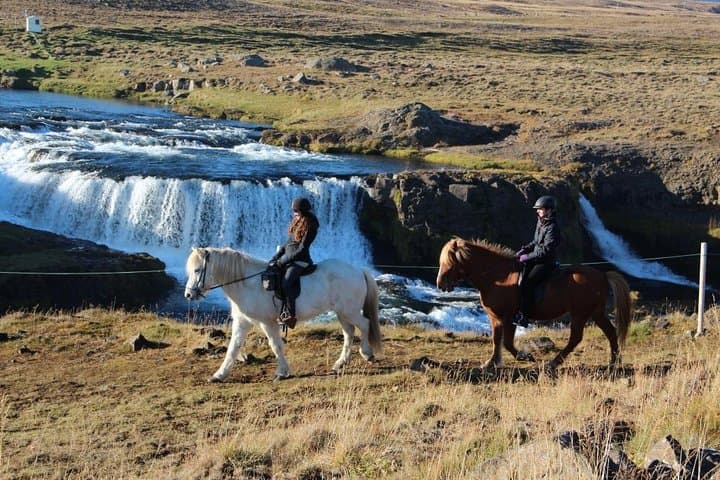Private 3-Hour Horseback Riding Tour