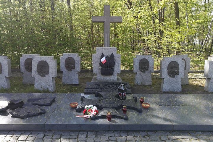 Westerplatte private tour led by Expert-Guide (door to door) 3