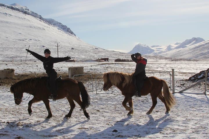Deacon Horse Riding Tour 3