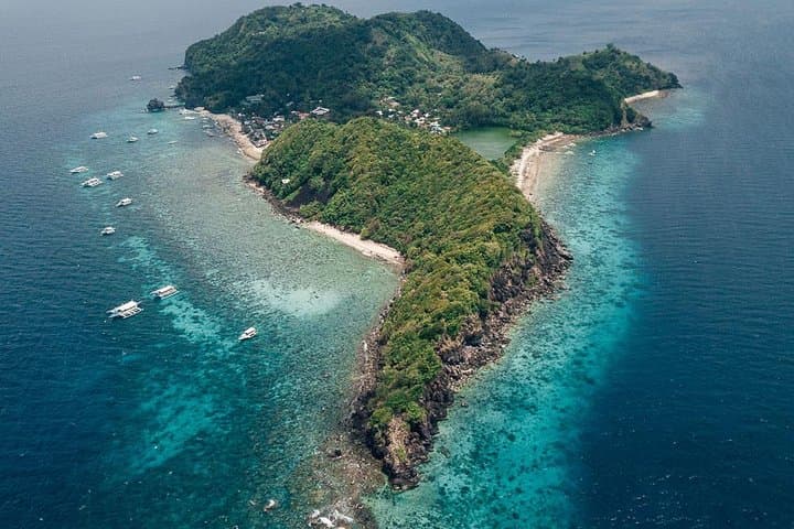 Dumaguete Apo Island Snorkeling Tour 3
