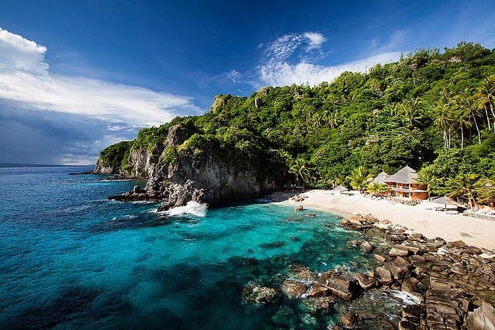 Dumaguete Apo Island Snorkeling Tour 4