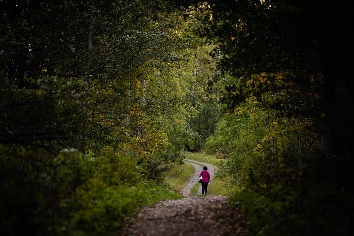 Redrib Helsinki Experience 2