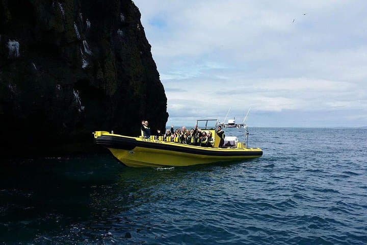 2 hour Round Trip in Vestmannaeyjar on a RIB Boat 4
