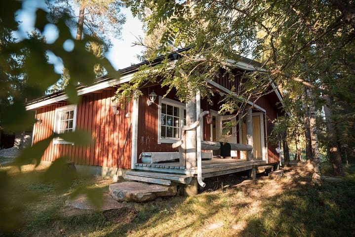 Finnish Traditional Sauna Escape : Fire, Ice and BBQ 5