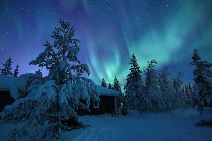 Snowmobile Aurora Expedition with dinner 4