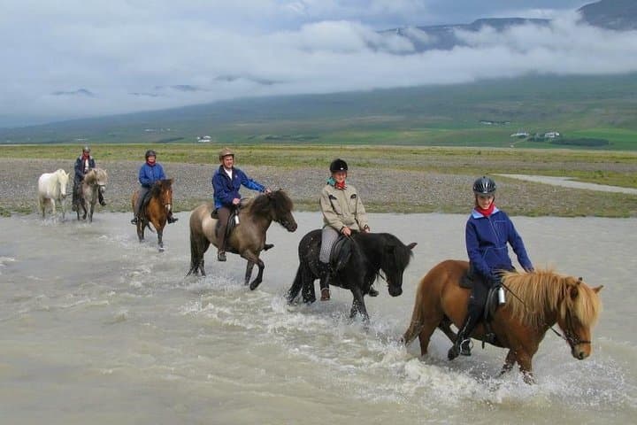 Private 3-Hour Horseback Riding Tour 4