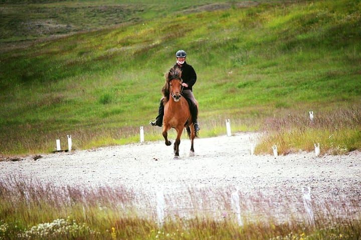 Exclusive Riding Program for Advanced Horse Riders - Give Me 5! - 2 to 3 hours 4