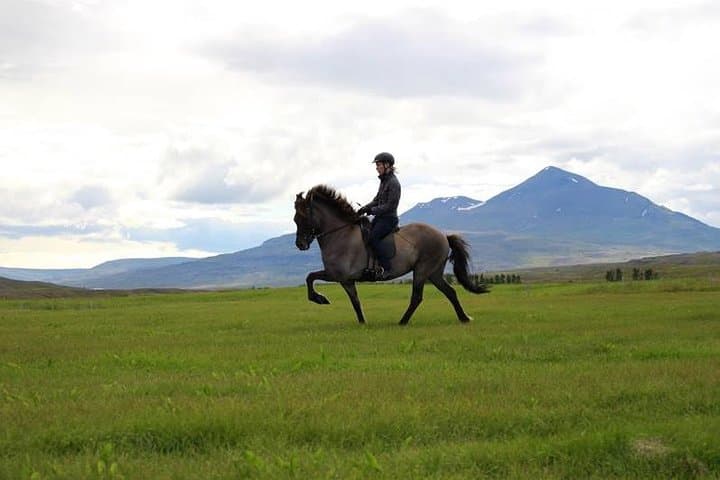 Exclusive Riding Program for Advanced Horse Riders - Give Me 5! - 2 to 3 hours 5