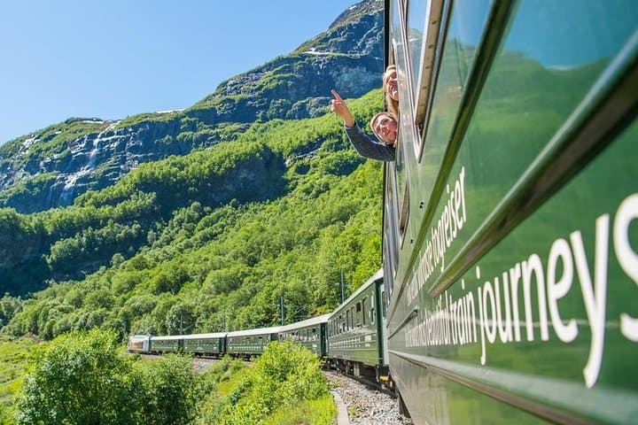 Private tour - Viking Village, Nærøyfjord Cruise & Flåm Railway 5