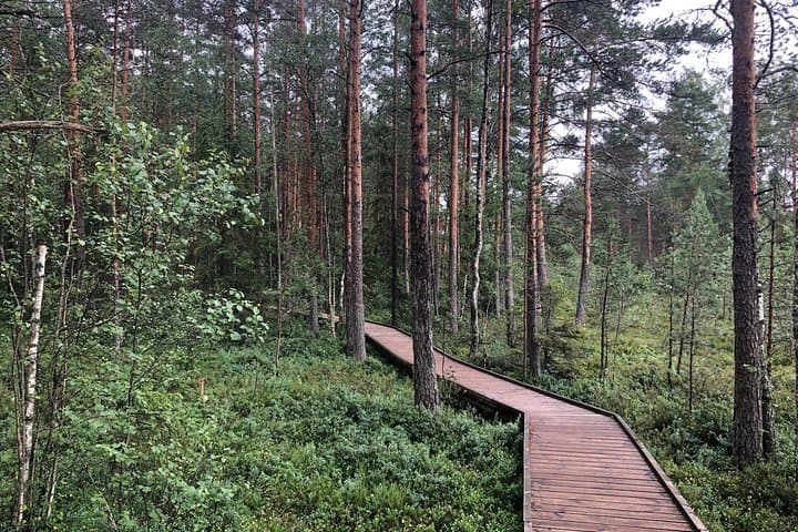 Lahemaa national park in Estonia 4