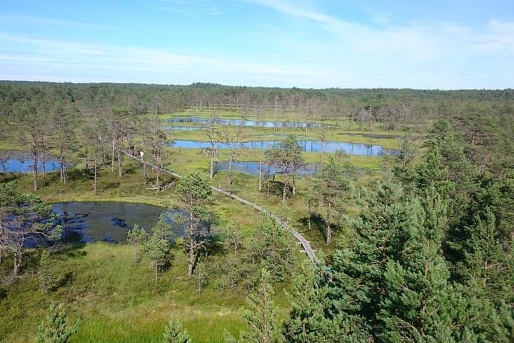 Lahemaa national park in Estonia 5