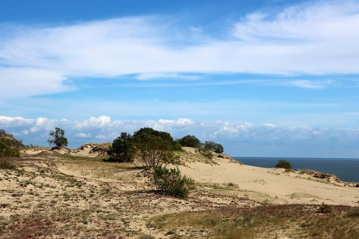 Day Tour to Curonian Spit a Treasure on the Baltic Sea 4