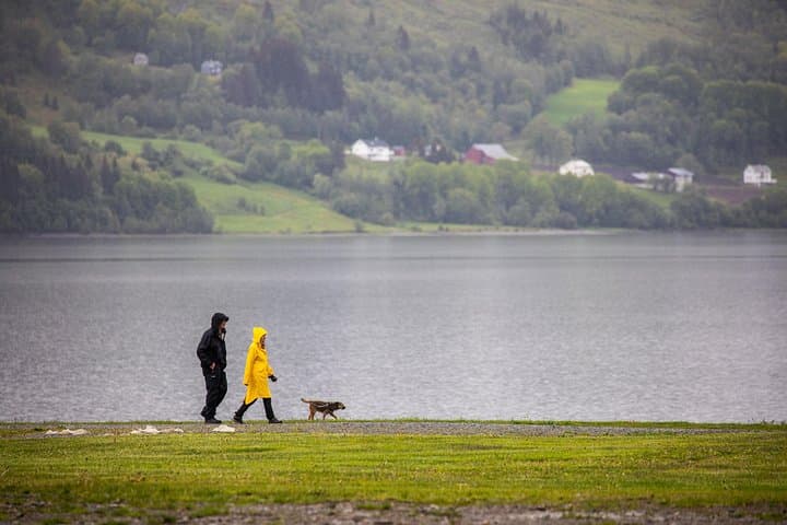 PRIVATE GUIDED TOUR: Norway's Highlights–Viking Special, 11 h 5