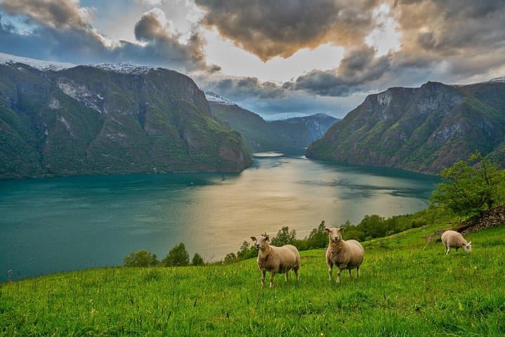 PRIVATE GUIDED TOUR: Norway's Highlights–Viking Special, 11 h