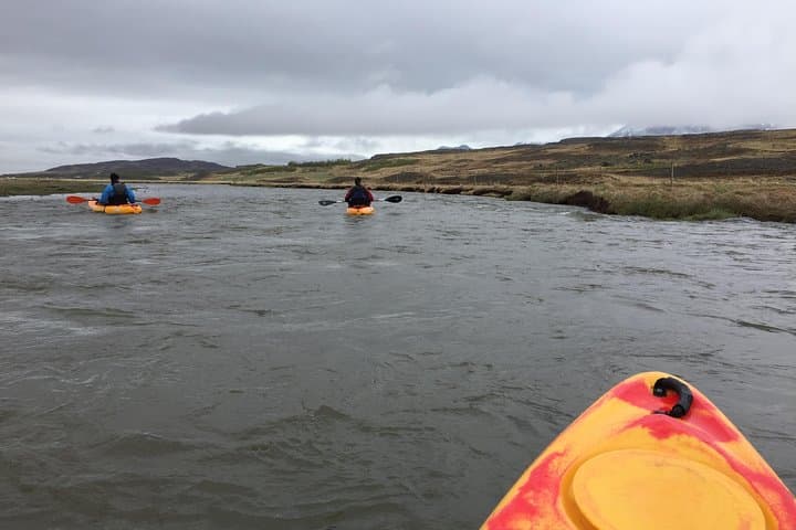 Guided Sit on Top Kayak Tour near Akureyri 4