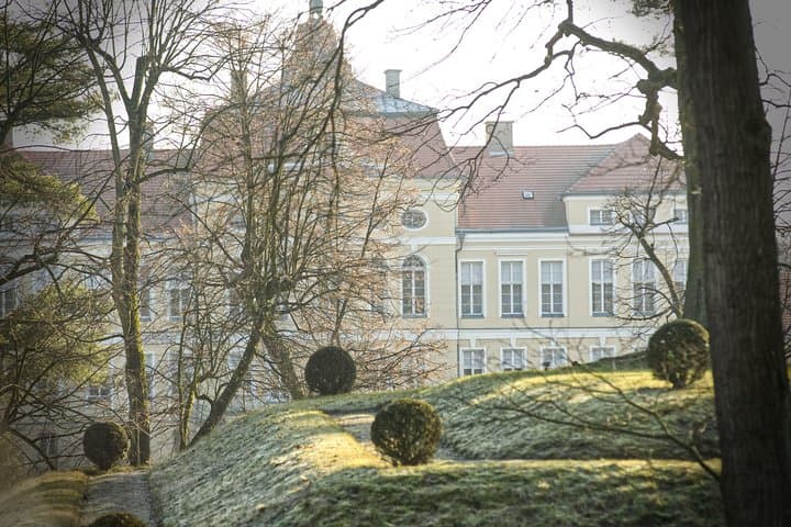 Palace, Castle and Ancient Oaks - Rogalin and Kórnik guided tour from Poznan 5