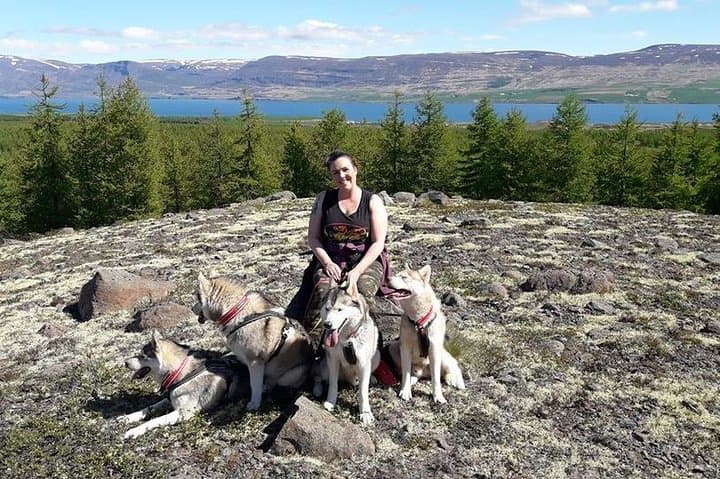 Hiking with Husky in Akureyri (private) 5
