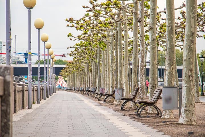 Discover Dusseldorf’s most Photogenic Spots with a Local 4