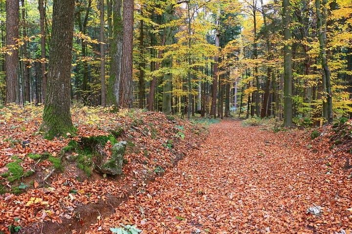 Fünf Seidla Steig ® Beer Hike Food Experience Private Tour (departs Nuremberg) 3