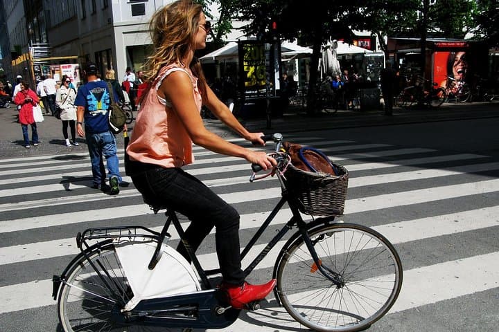 Best of Copenhagen : Private Biking Tour (3 Hours) 2