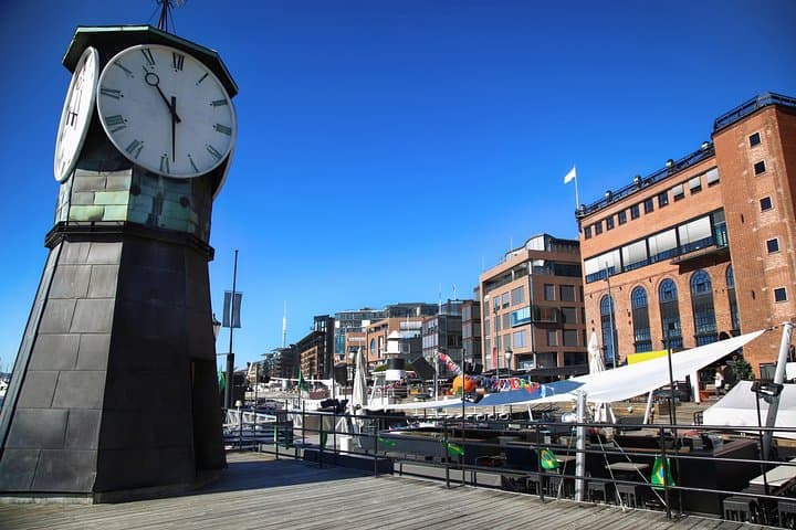 Best of Oslo and Kon-Tiki Museum Private Tour 5