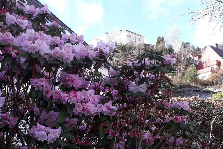 Three-summit hike in Bergen 5