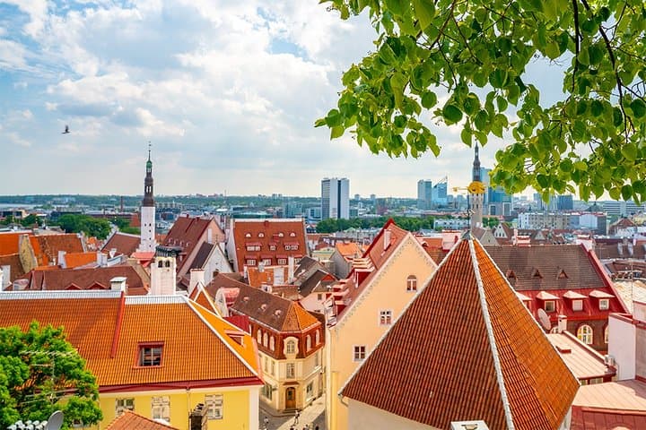 Old Tallinn with Kadriorg & Pirita 5