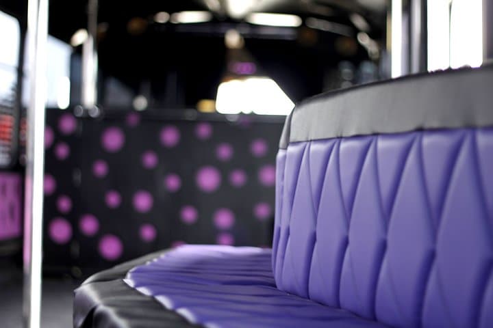 Private Party Bus & Nightclub Entry in Gdansk/Sopot 4