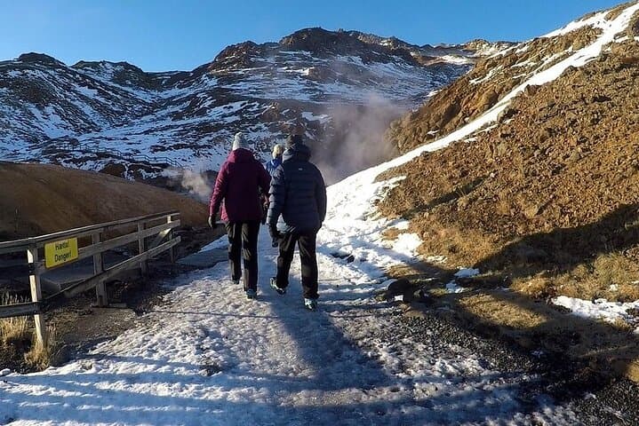 Reykjanes Peninsula Private Day Tour - up to 9 passengers 4