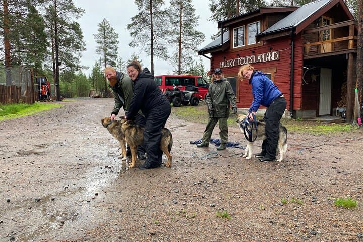 Autumn Husky Sit and Drive Cart Tour from Kiruna 4