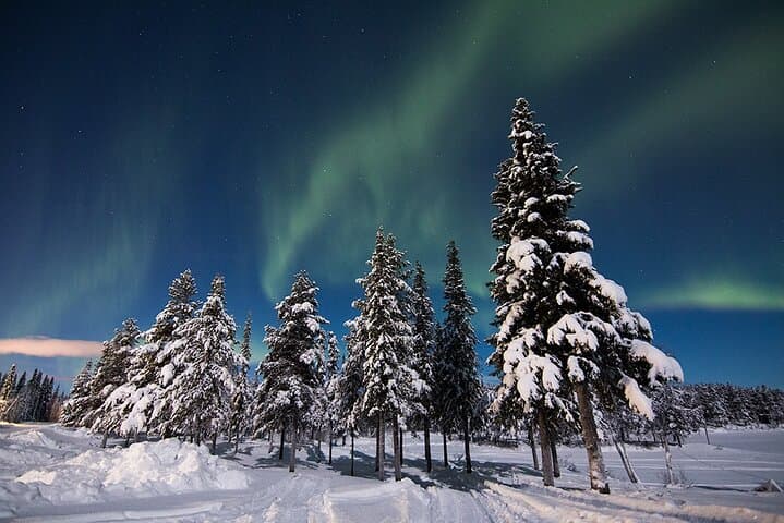 Guided Northern Lights Tour at Kiruna 3