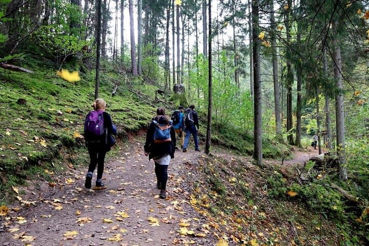 Hike In Gauja National Park - Up And Down The Switzerland Of Latvia 3