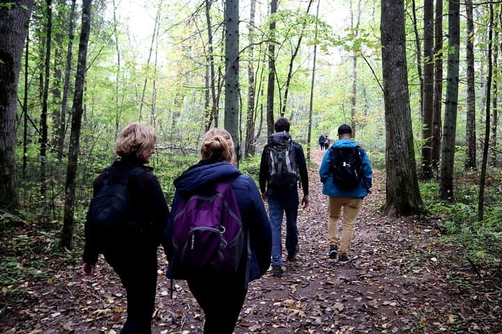 Hike In Gauja National Park - Up And Down The Switzerland Of Latvia 5