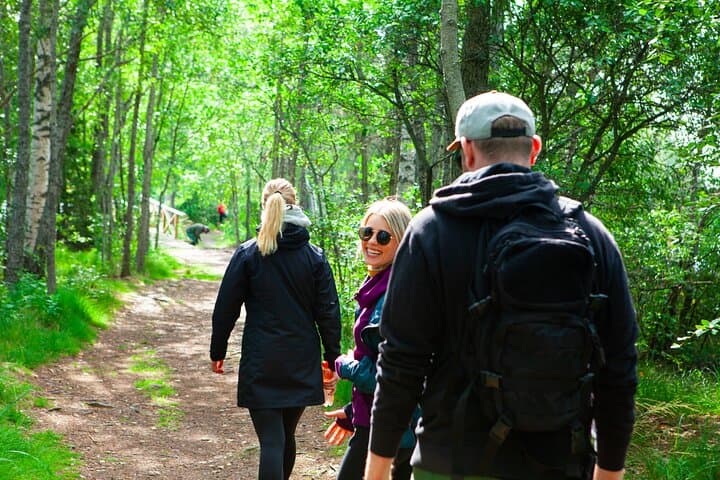 Berry Picking in a National Park 2