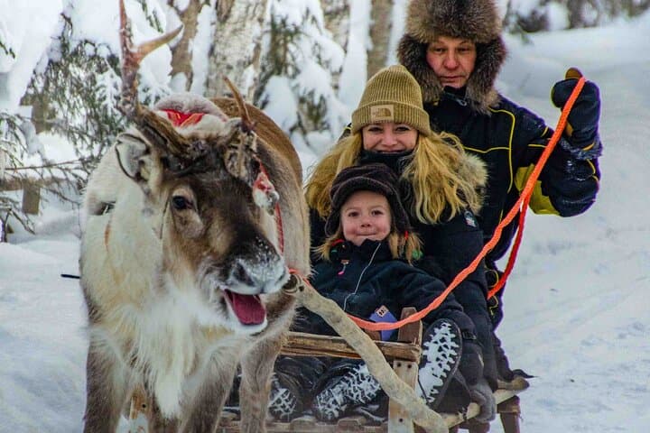 Authentic Reindeer Farm Experience in Rovaniemi 5