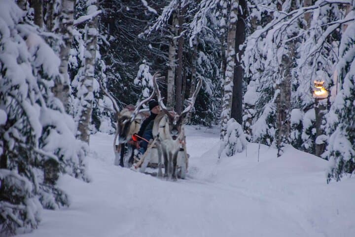 Authentic Reindeer Farm Experience in Rovaniemi 3