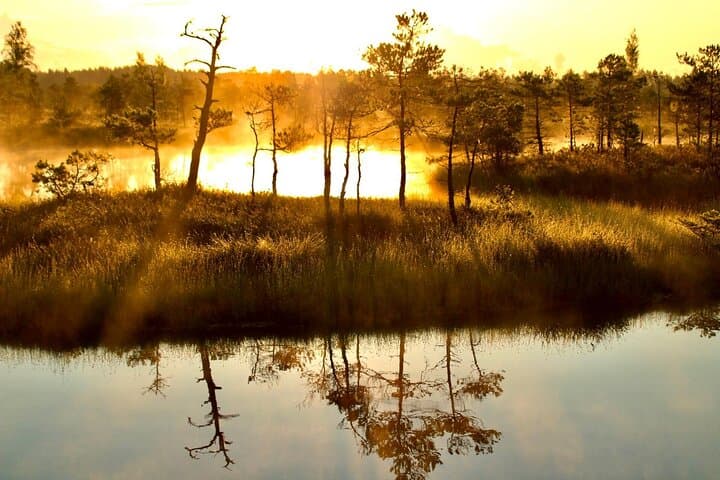 Sunrise at Kemeri National Park - Small Group