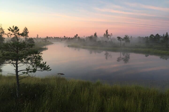 Sunrise at Kemeri National Park - Small Group 4