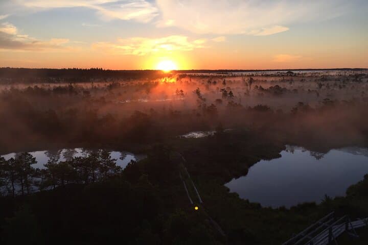 Sunrise at Kemeri National Park - Small Group 2