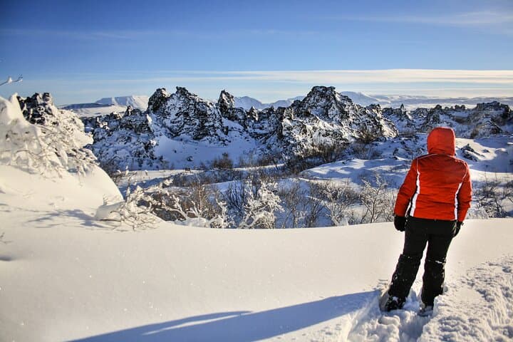 Full-Day Lake Mývatn & Goðafoss Small Group Tour 2