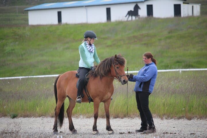 Private Riding Lesson in the North of Iceland 2