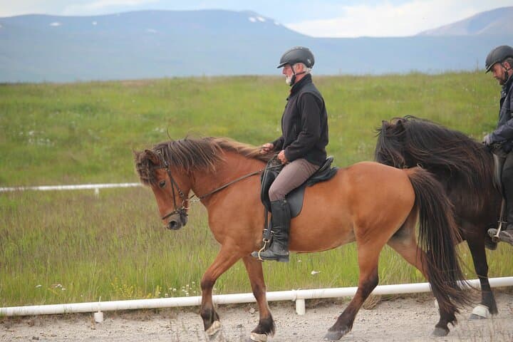 Private Riding Lesson in the North of Iceland 3